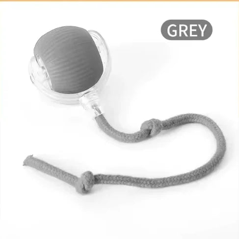 PurrPlay AutoTease Interactive Ball