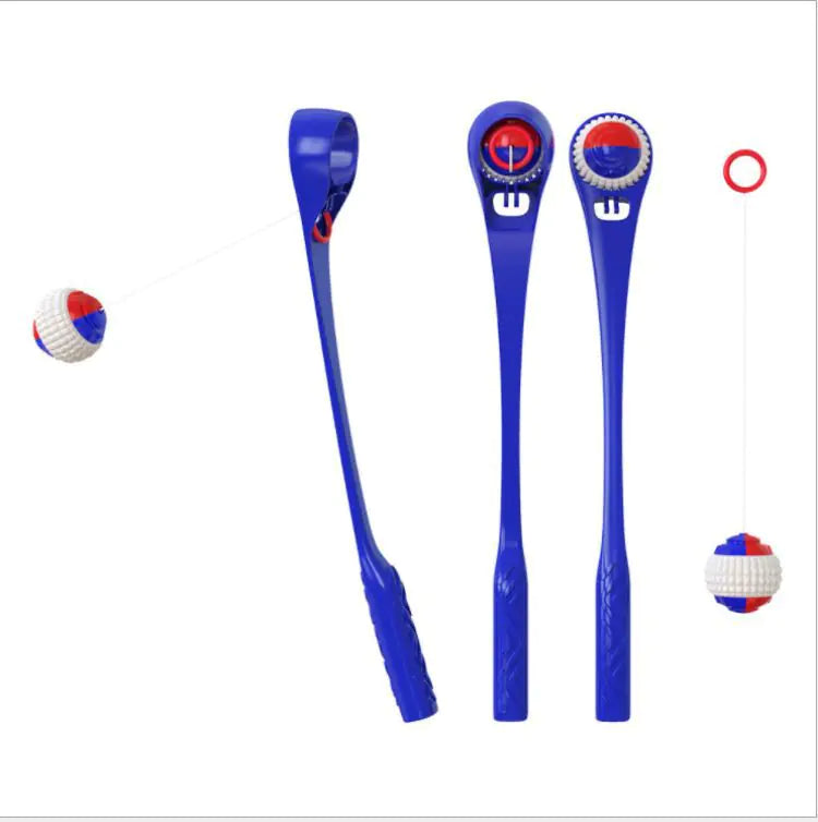 Plastic Sport Ball Dog Toy