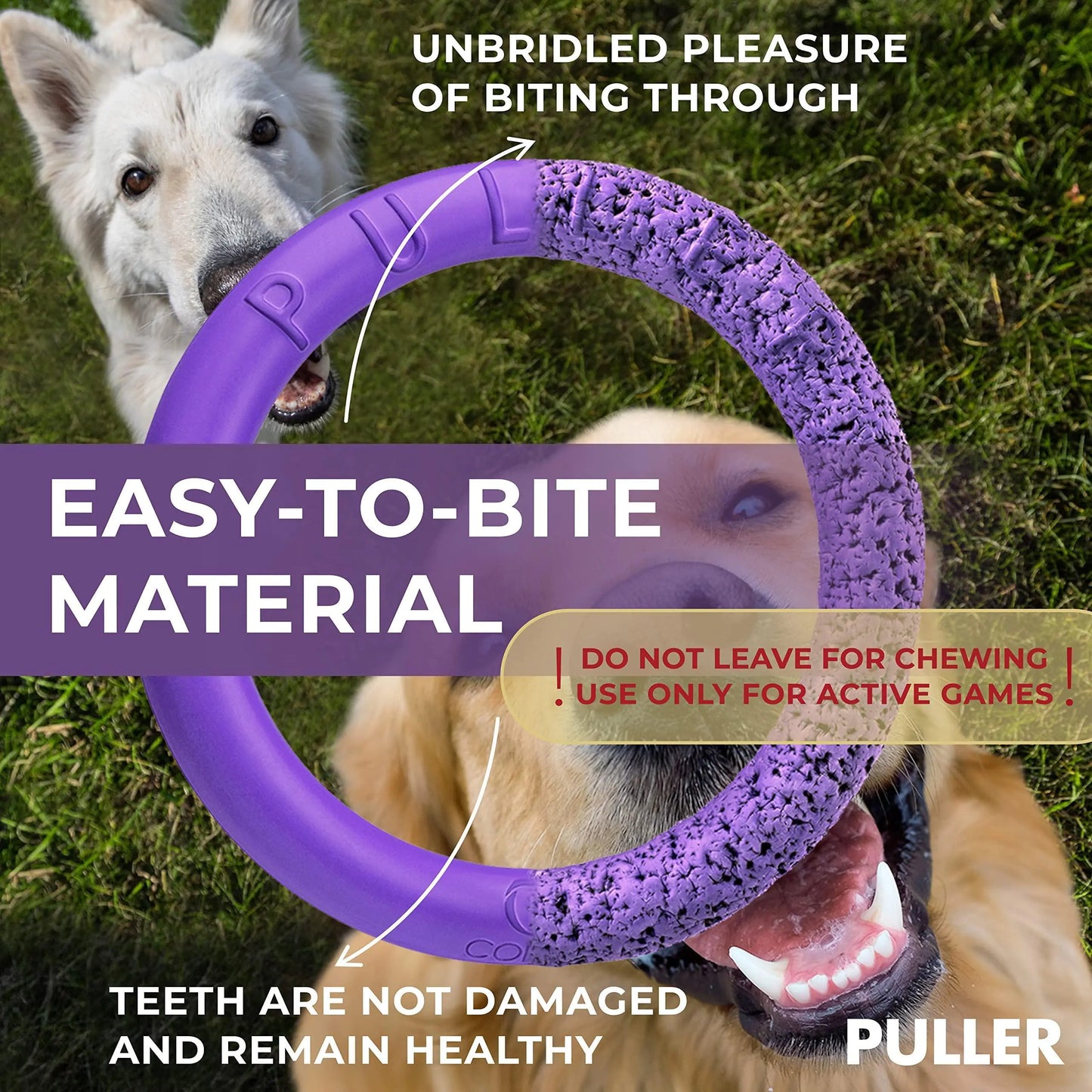 PULLER Interactive Dog Rings