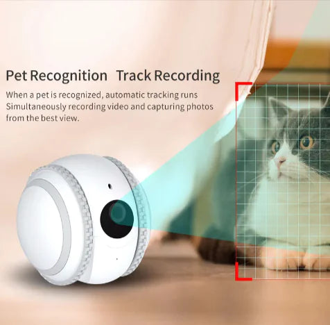 SmartPet Auto Teasing Toy