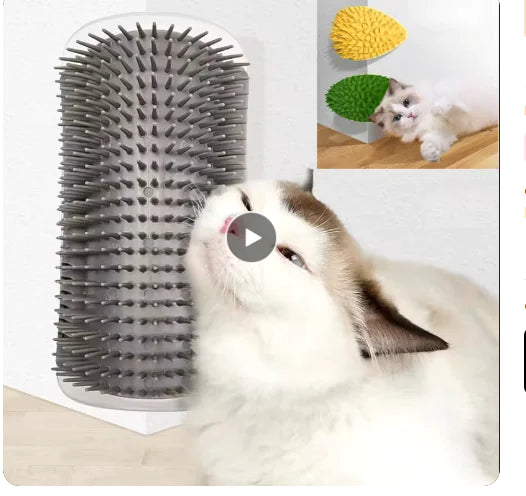 Interactive Catnip Play Station