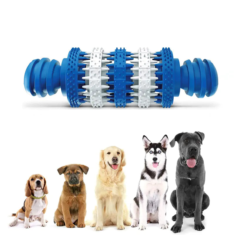 Dog Molar Bone Toy