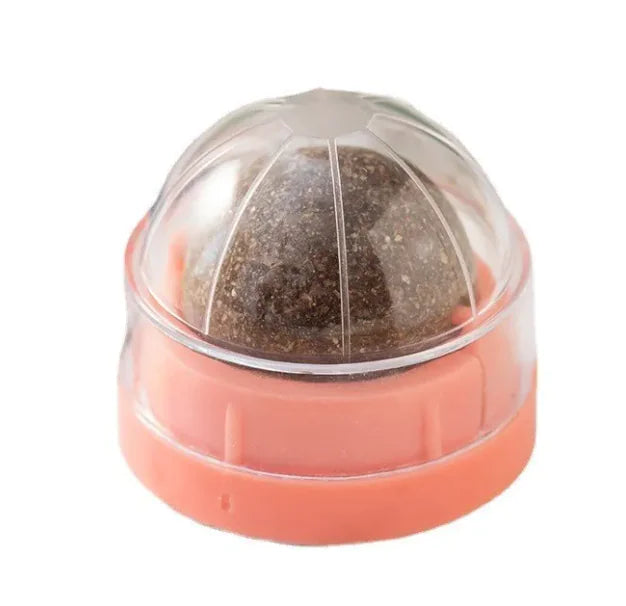 Durable Plastic Cat Toy