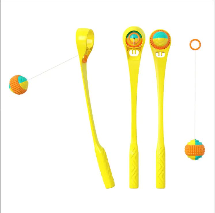 Plastic Sport Ball Dog Toy