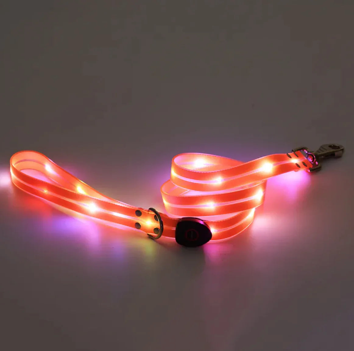 Illuminated Pet Collar & Leash