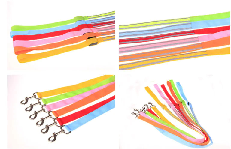 Reflective Dog Harness & Lead