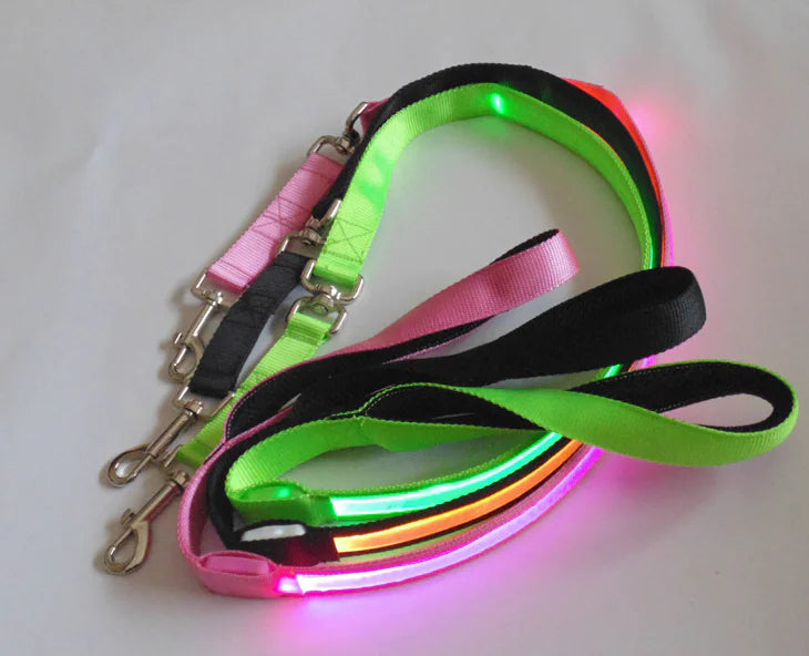Reflective Dog Harness & Lead