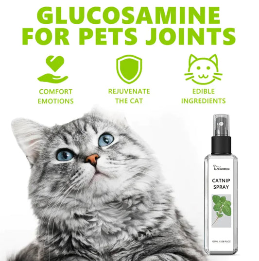 Cat Vitality & Coat Health Spray