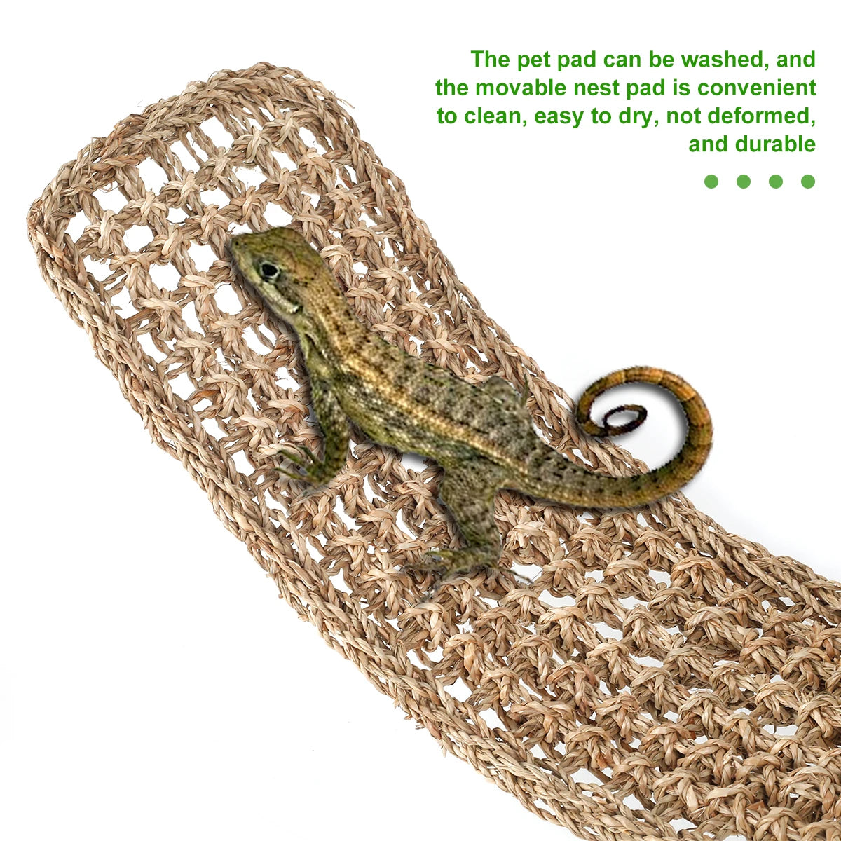 Natural Seagrass Reptile Hammock
