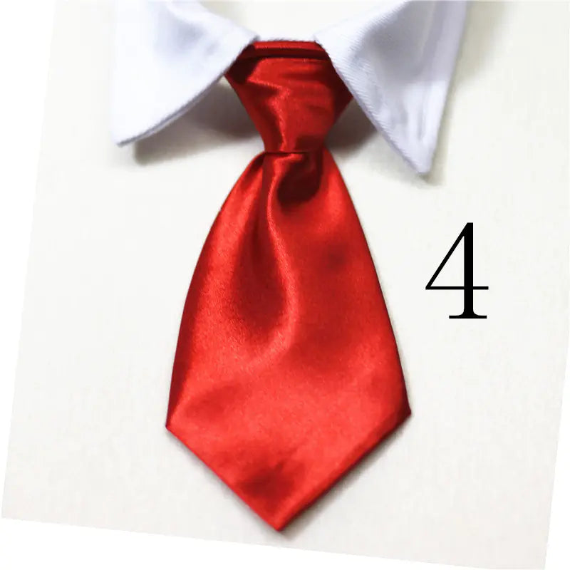 Chic Pet Collar & Tie Collection