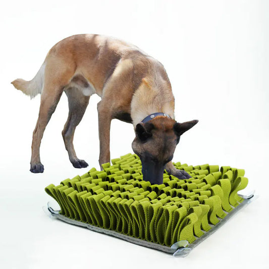 Green Snuffle & Slow Feeder Mat