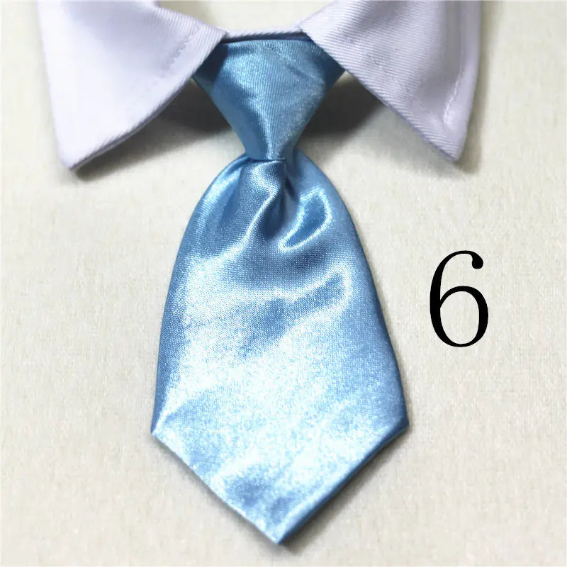 Chic Pet Collar & Tie Collection