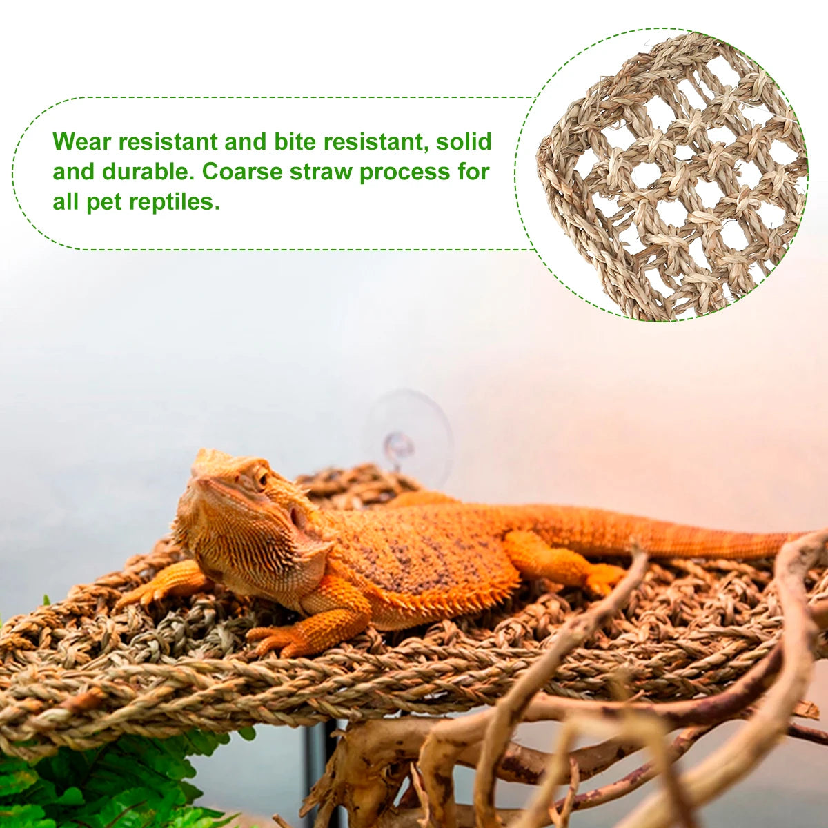 Natural Seagrass Reptile Hammock
