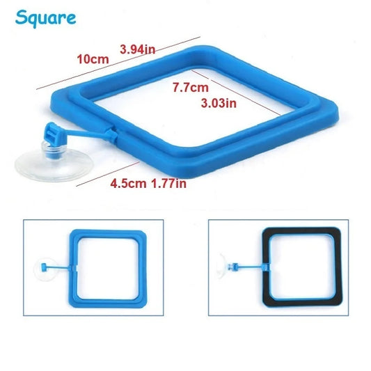 Floating Aquarium Feeding Ring