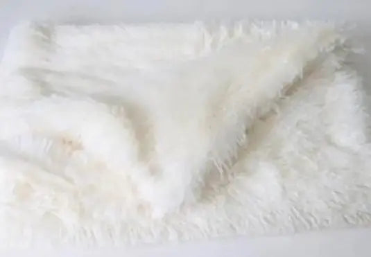 Plush Pet Throw Blanket