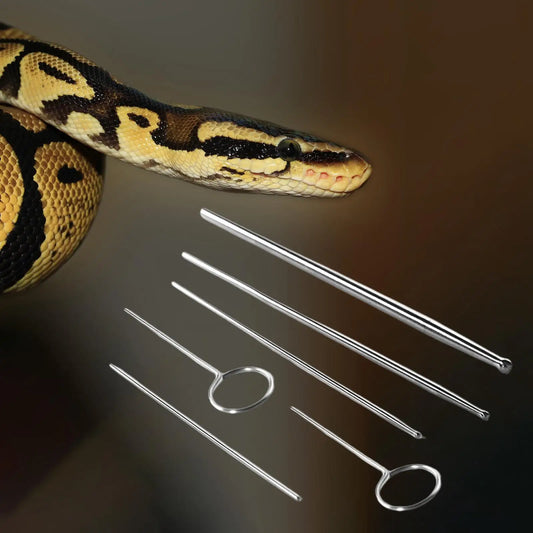 Durable Reptile Gender Detection Probes