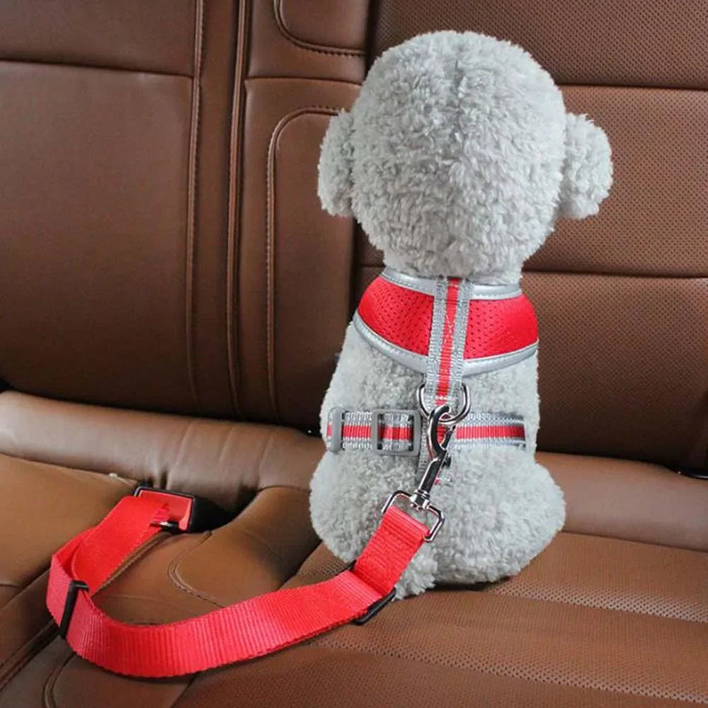 2-in-1 Pet Car Safety Leash