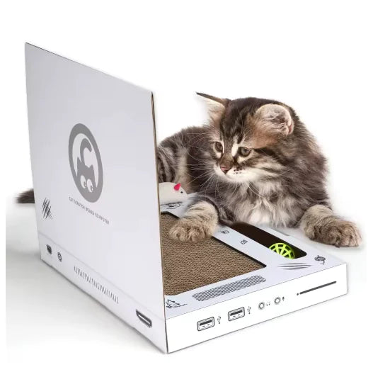 Notebook-Shaped Cat Scratcher Toy