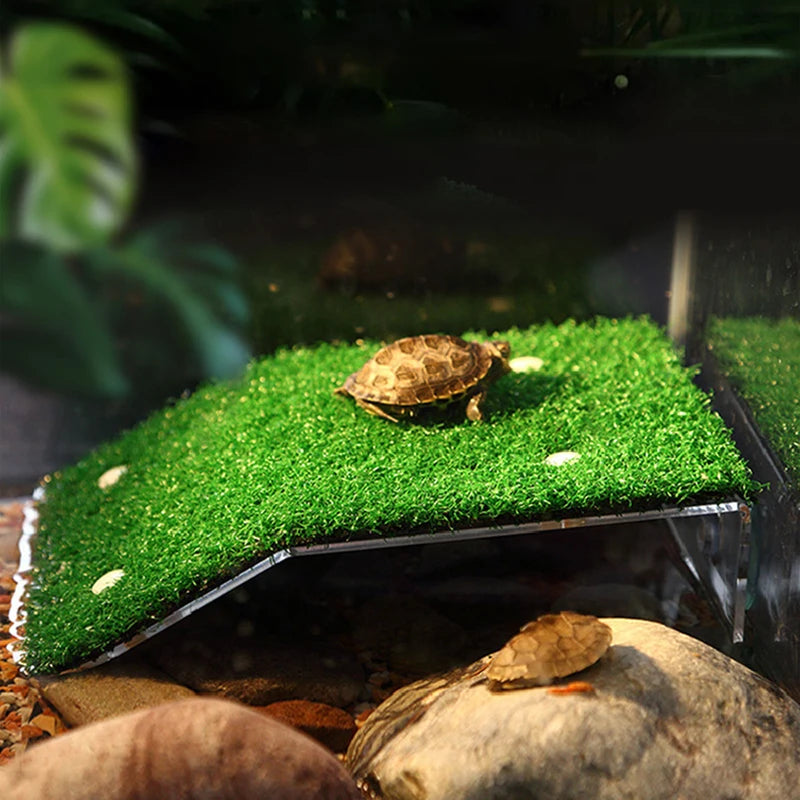 Aquarium Turtle Basking Platform