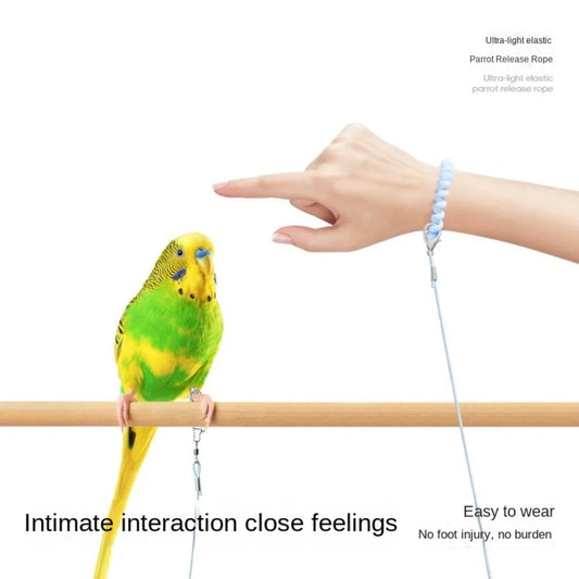 Elastic Parrot Traction Rope Metal Buckle Anti-flying Parrots Training Leash Lightweight Multiple Size Bird Foot Chain for Birds