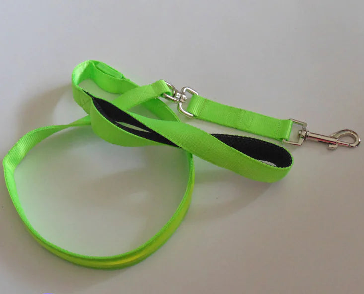 Reflective Dog Harness & Lead