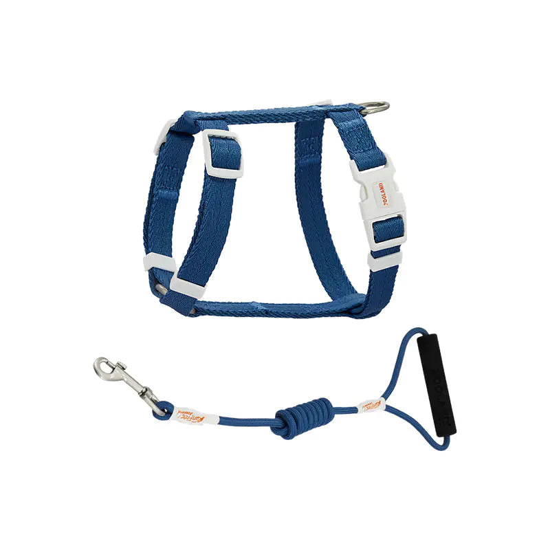 Anti-Breakaway Pet Harness & Leash Set