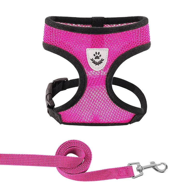 Reflective Pet Harness & Leash