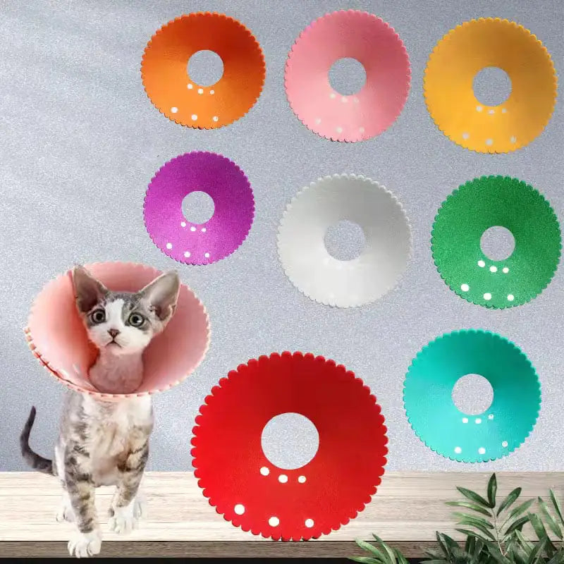 Grid Pattern Pet Headwear