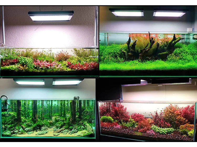 Week Aqua A430 PRO Smart LED Light