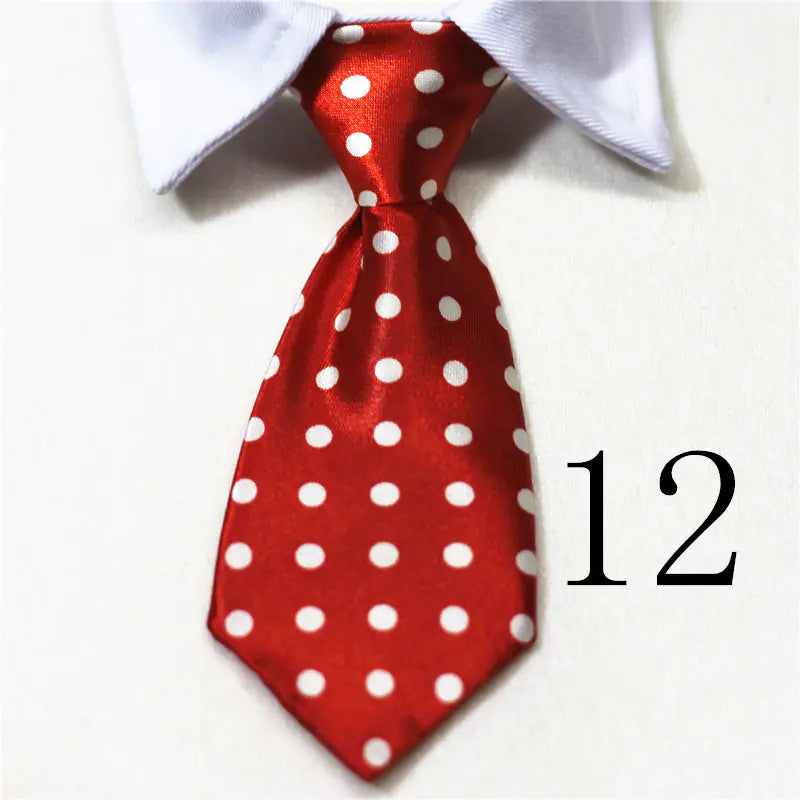 Chic Pet Collar & Tie Collection