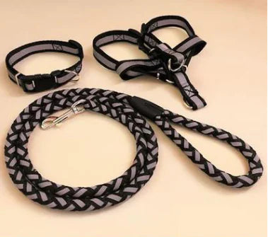 Luminous Reflective Pet Leash