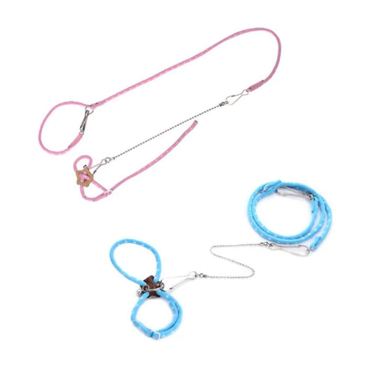 Small Pet Adventure Leash
