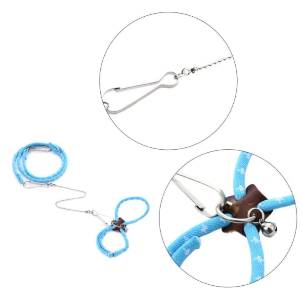 Small Pet Adventure Leash