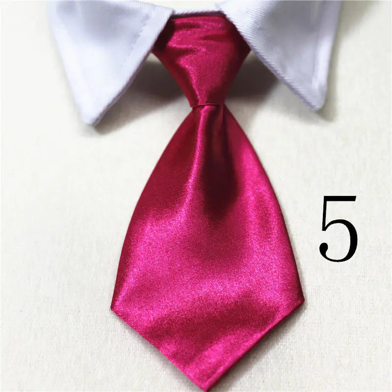 Chic Pet Collar & Tie Collection