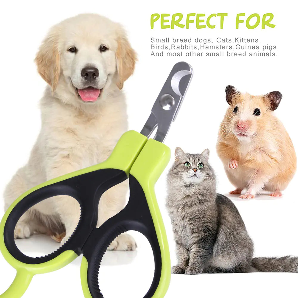 Pet Nail Scissors (Green/Pink)