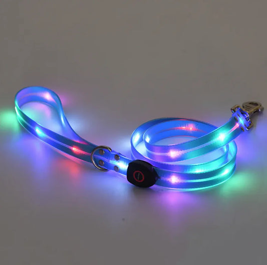 Illuminated Pet Collar & Leash