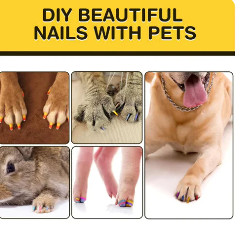 Pet Nail Art Pens (12-Color Set)