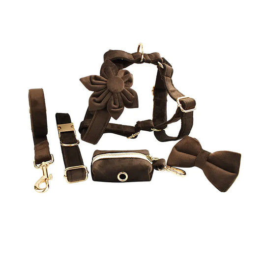 Deluxe Velvet Pet Walk Kit
