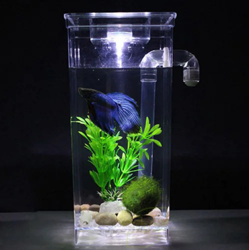 Self-Cleaning Fish Tank, No Water Change Needed