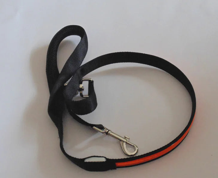Reflective Dog Harness & Lead