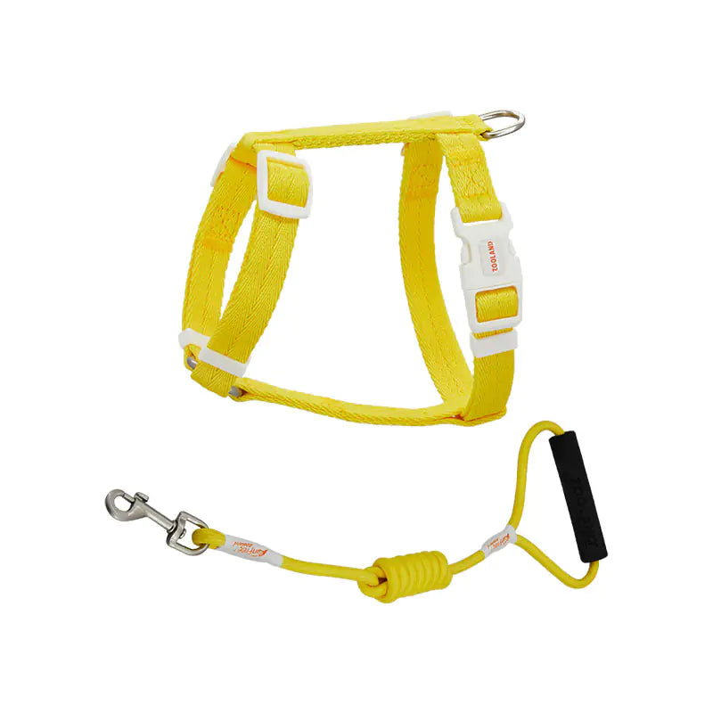 Anti-Breakaway Pet Harness & Leash Set