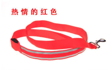 Reflective Dog Harness & Lead