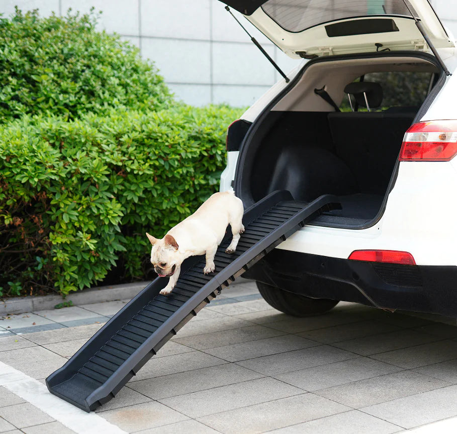 Pet Folding Step Ladder