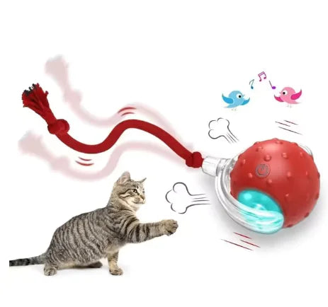 Pet Play Ball (Red)