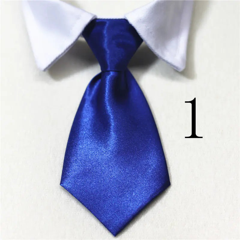 Chic Pet Collar & Tie Collection