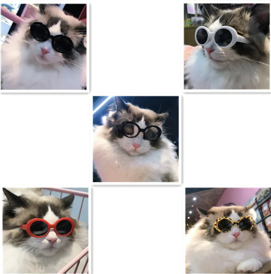 Pet Fashion Sunglasses