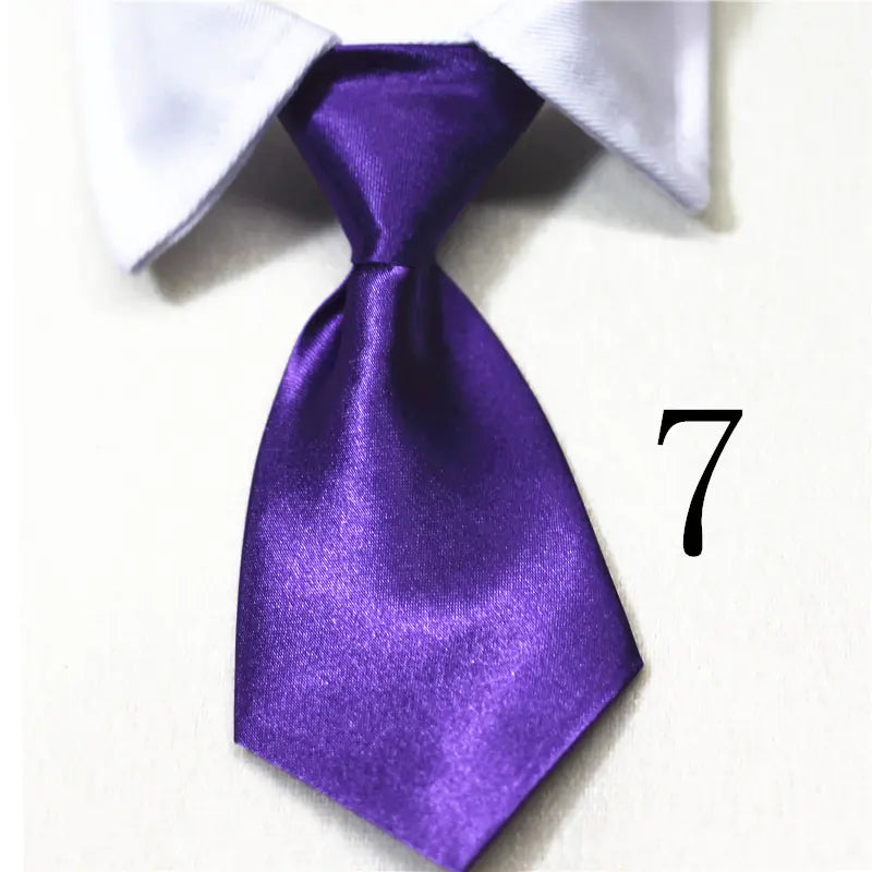 Chic Pet Collar & Tie Collection