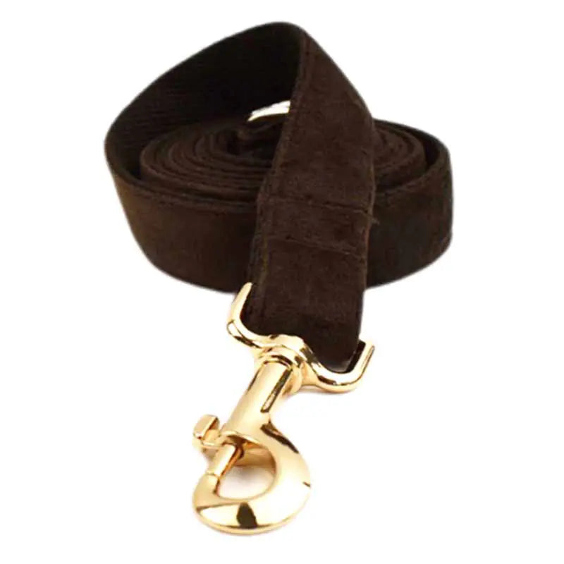 Deluxe Velvet Pet Walk Kit