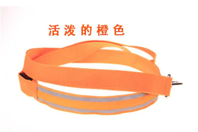 Reflective Dog Harness & Lead