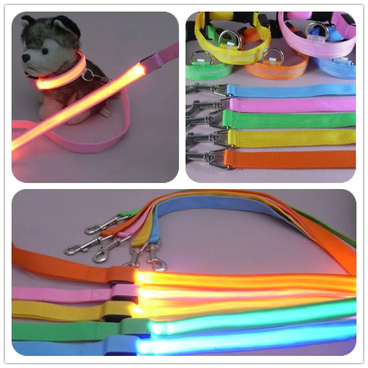 LED Safety Dog Walking Leash
